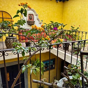 Maison Bougainvillea Auberge de jeunesse Antigua